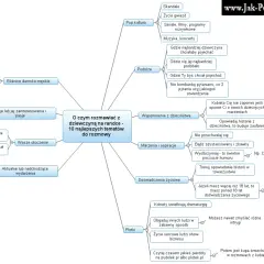 Jestem nieśmiały jak zagadać do dziewczyny? Mapa myśli podpowiada: rozmawiaj o jej pasjach, podróżach, wspomnieniach z dzieciństwa i marzeniach.