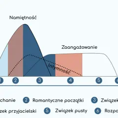 Wykres pokazuje ewolucję namiętności, intymności i zaangażowania w związku. Kluczem do trwałej relacji jest równowaga w związku.
