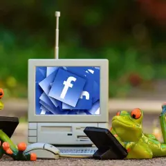 Dwie żaby uczą się, jak zagadać do dziewczyny na Messengerze, patrząc na ekran z ikonami Facebooka.