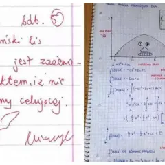 Zapiski z analizy matematycznej z zabawnym rysunkiem lisa i wykresem funkcji. Może to być inspiracja na 100 ciętych ripost!