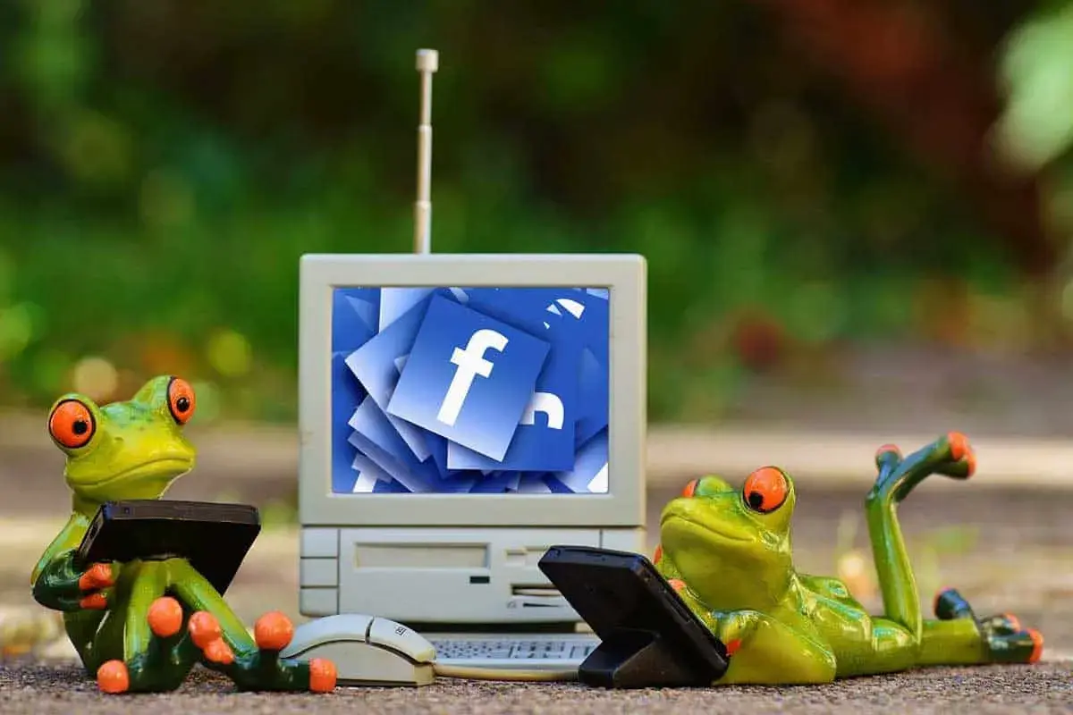 Dwie żaby uczą się, jak zagadać do dziewczyny na Messengerze, patrząc na ekran z ikonami Facebooka.