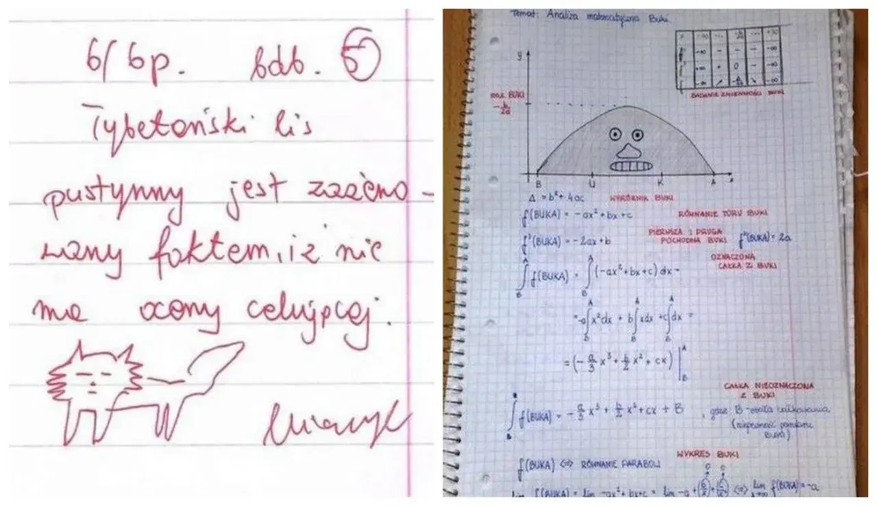 Zapiski z analizy matematycznej z zabawnym rysunkiem lisa i wykresem funkcji. Może to być inspiracja na 100 ciętych ripost!